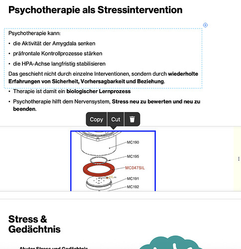 Bildschirmfoto 2026-01-24 um 16.37.09